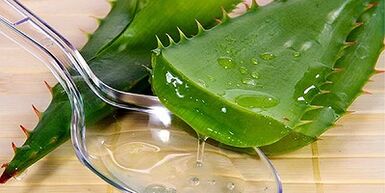Zume de aloe para tratar varices nas pernas